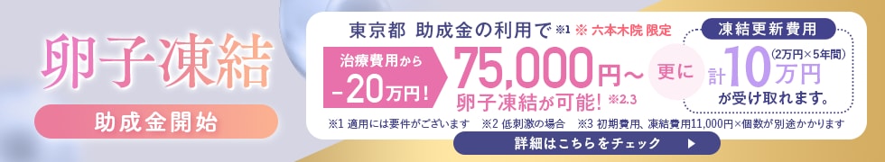 卵子凍結助成金