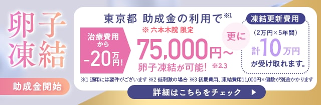 卵子凍結助成金