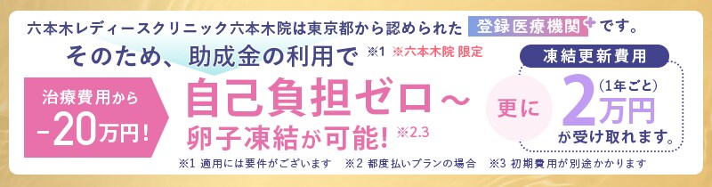 卵子凍結助成金