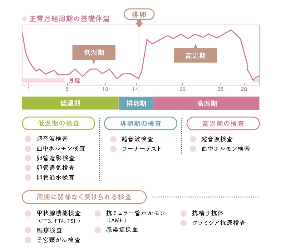 一般不妊検査の流れ