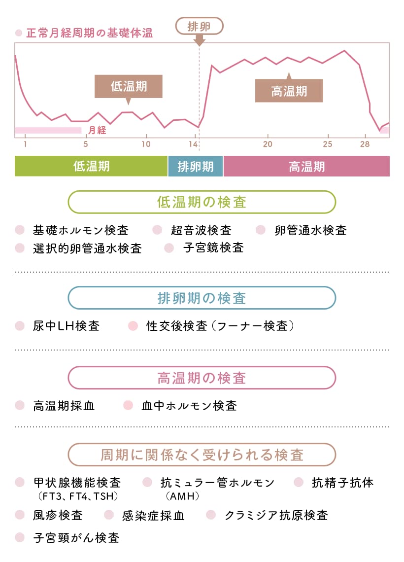 一般不妊検査の流れ