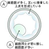 3AA