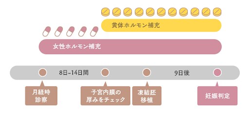 凍結融解胚移植（ホルモン補充周期）の流れ