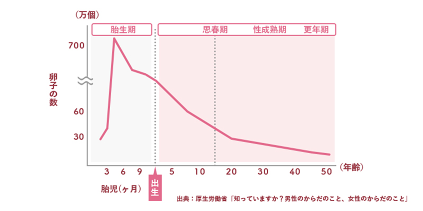 理由1:卵子の数が年齢とともに減少していく為