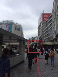 進んで頂くと“新宿西口歩行者デッキ”が見えますのでコチラを上って頂きます。