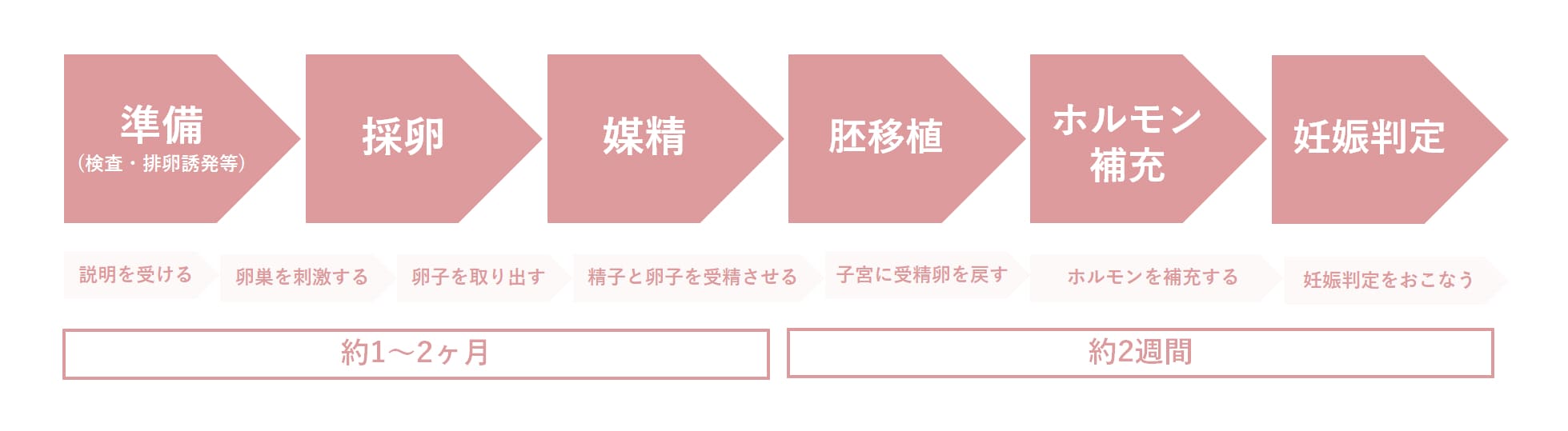 体外受精の基本的な流れ