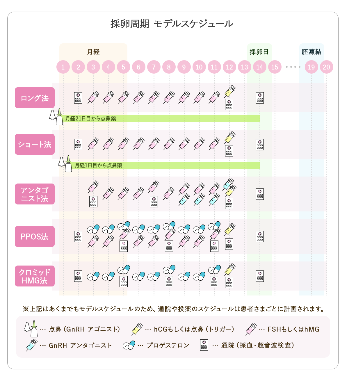 採卵周期のモデルスケジュール